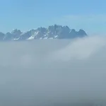France * 피버브룬