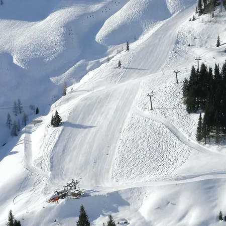 France Vakantiehuis Fieberbrunn