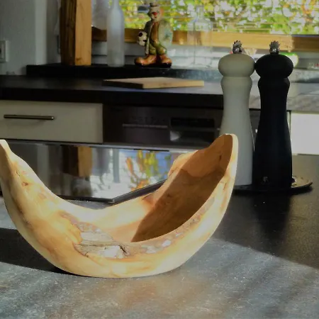 Prázdninový dům France Fieberbrunn