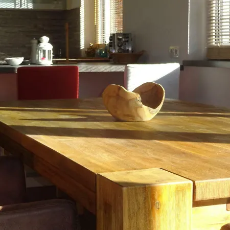 France Vakantiehuis Fieberbrunn